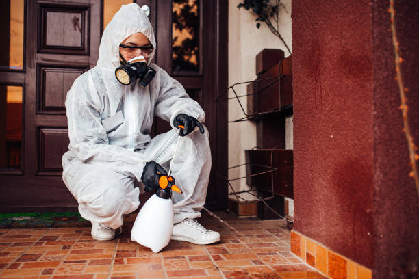 Reliable Wasp Removal contractor in Hooverson Heights, WV by Show Me Pest Control