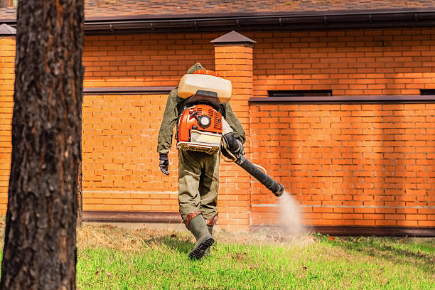 Top rated local Wasp Removal specialists in Hooverson Heights, WV